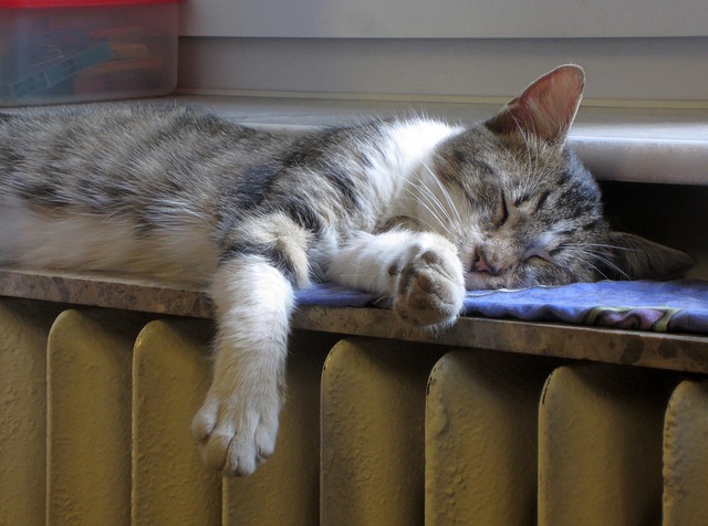 Comment bien choisir une tablette pour radiateur ?